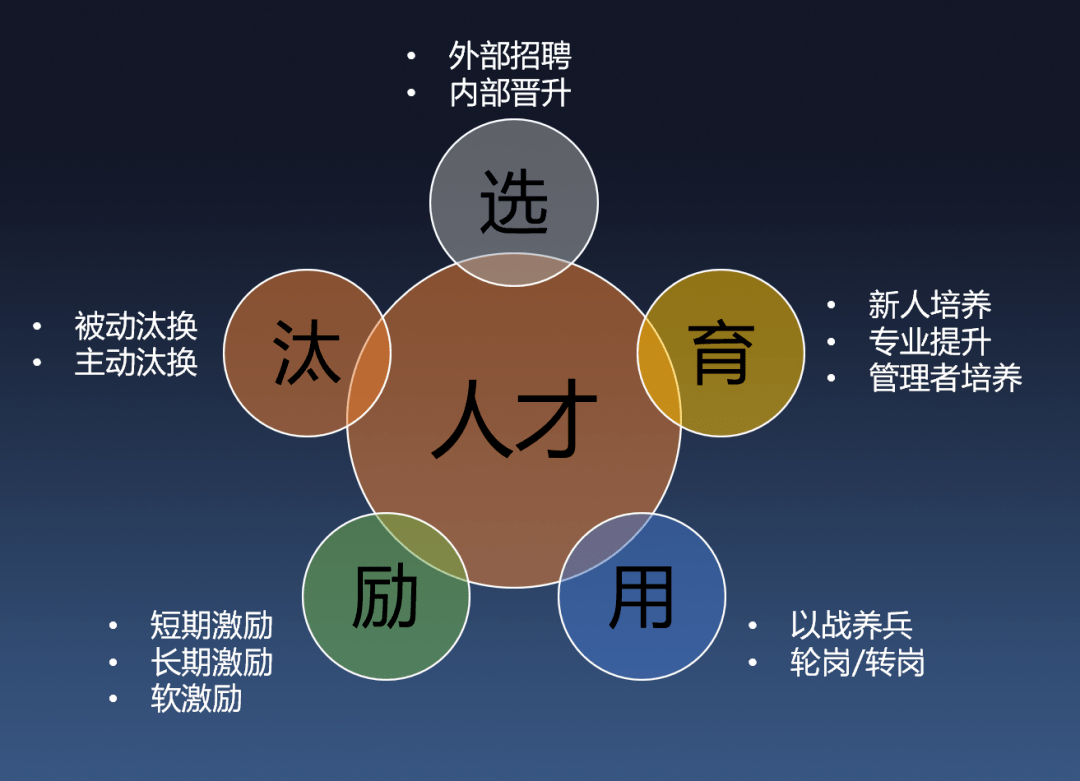 三优人才网，连接人才与机遇的桥梁